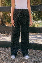 Load image into Gallery viewer, Liza Sequin Velvet Pant
