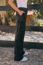 Load image into Gallery viewer, Liza Sequin Velvet Pant
